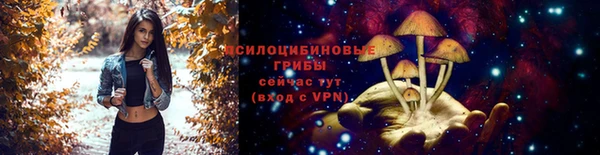 spice Краснотурьинск