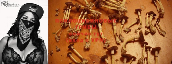 spice Краснотурьинск