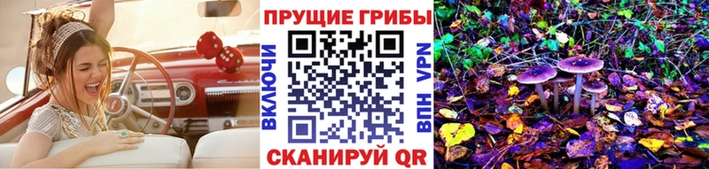 где купить наркоту Новотитаровская Псилоцибиновые грибы Magic Shrooms